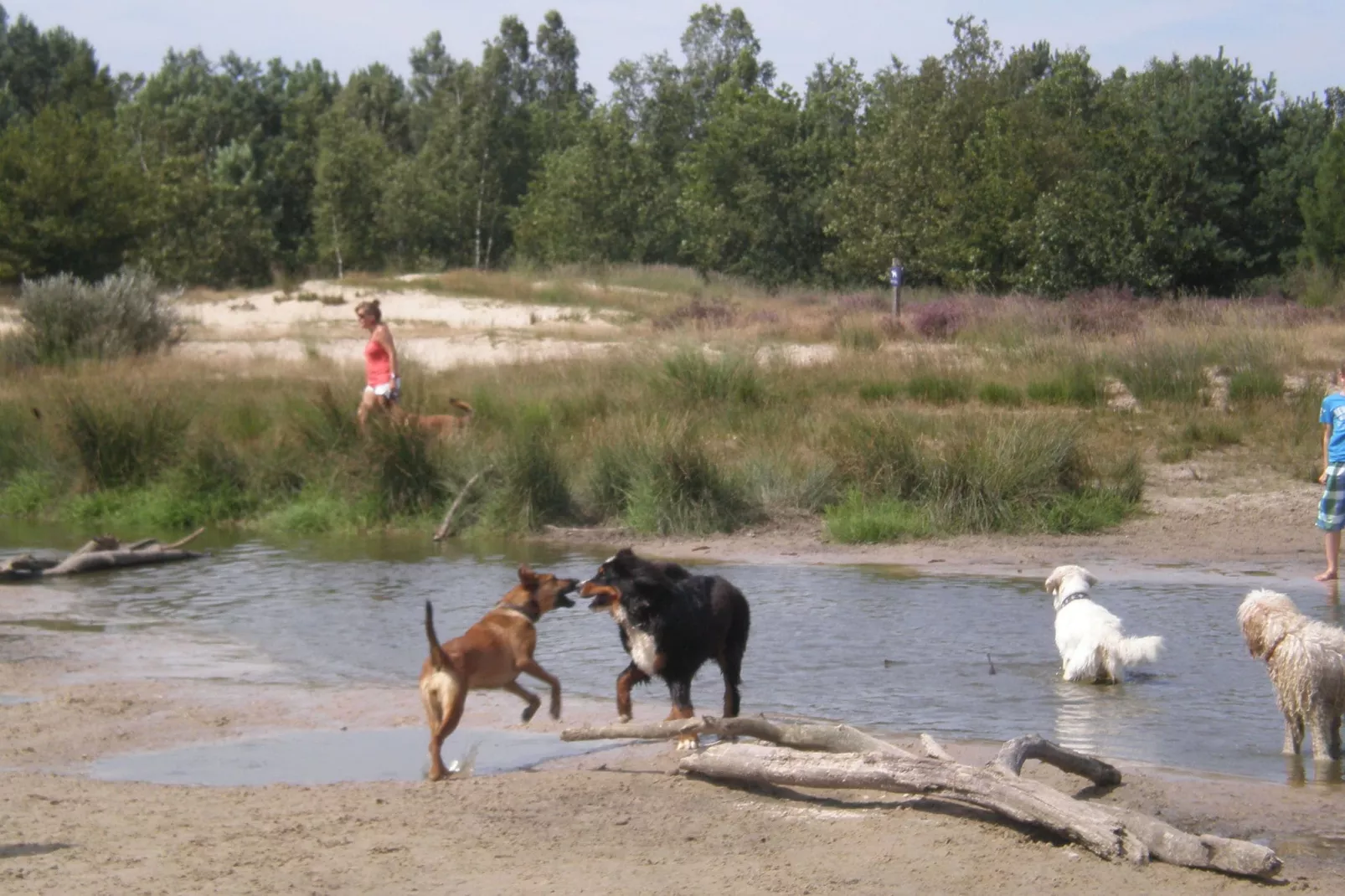 Recreatiepark Duinhoeve 4-Gebieden zomer 1km