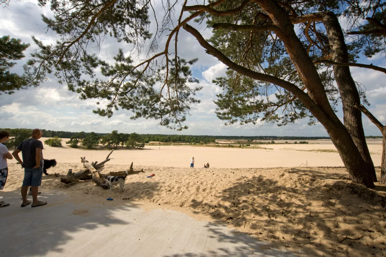 Recreatiepark Duinhoeve 4-Gebieden zomer 1km