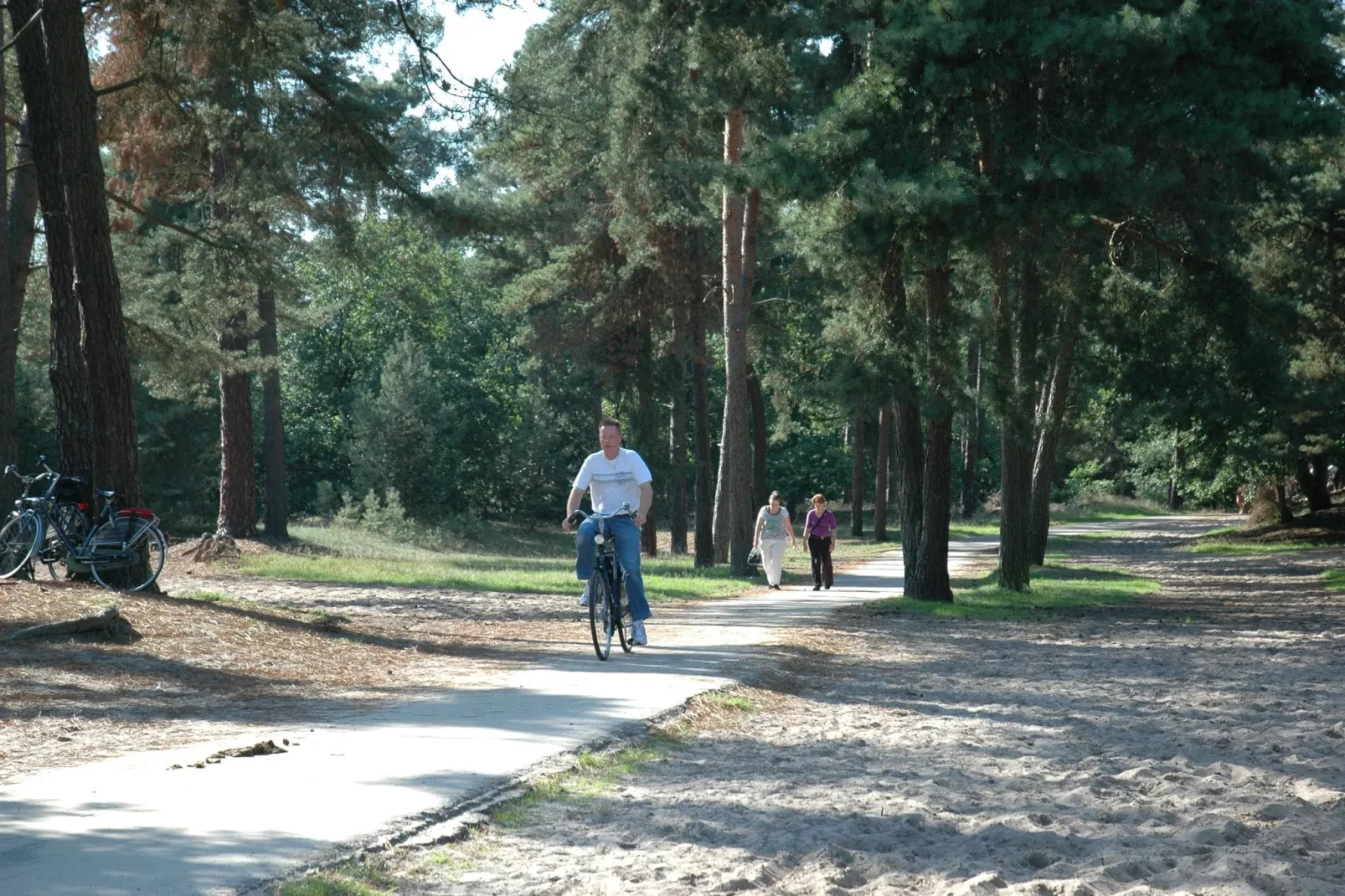 Recreatiepark Duinhoeve 5-Gebieden zomer 1km