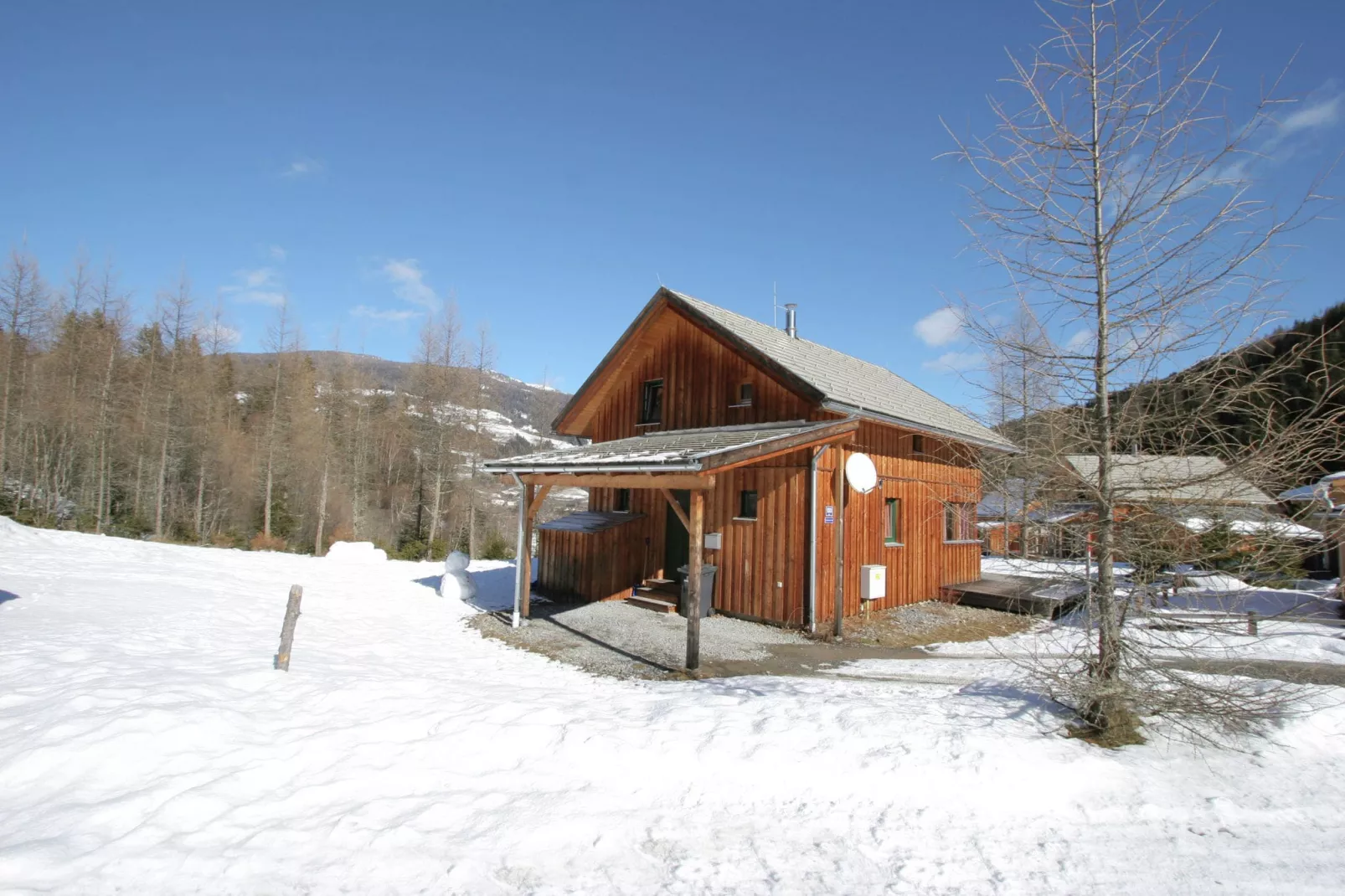 Chalet in Austria-Exterieur winter