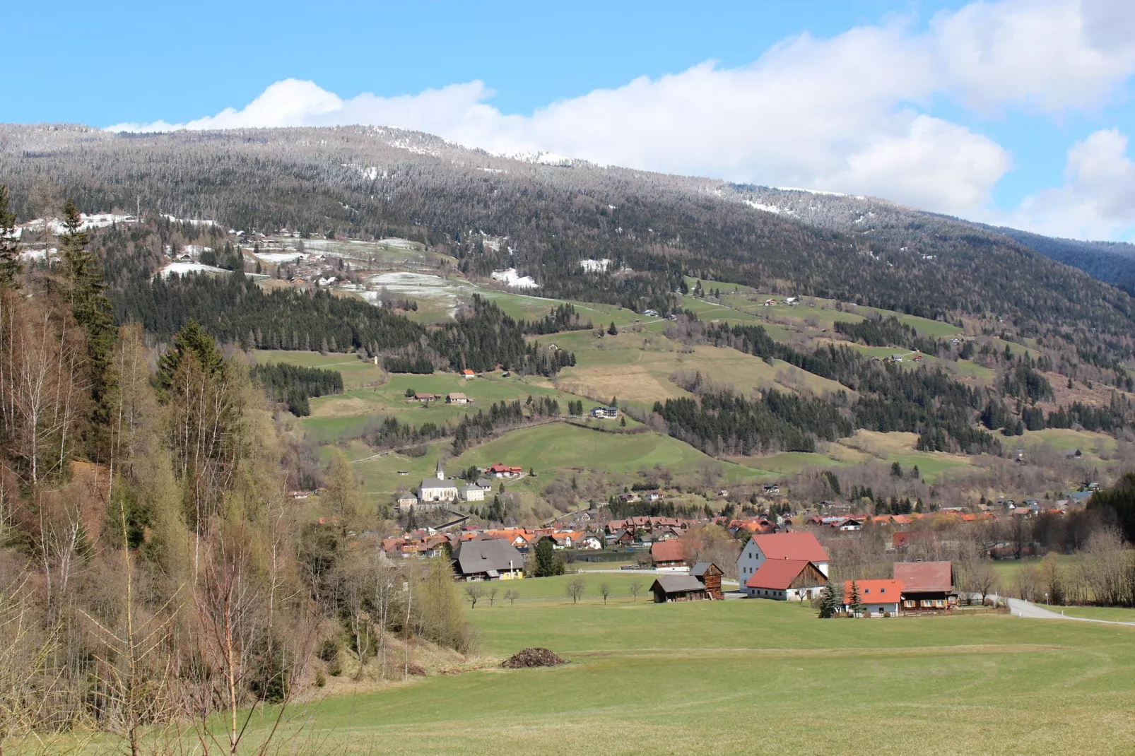 Chalet in Austria-Uitzicht zomer