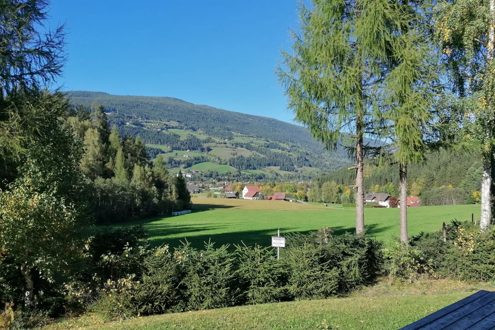 Chalet in Austria-Uitzicht zomer