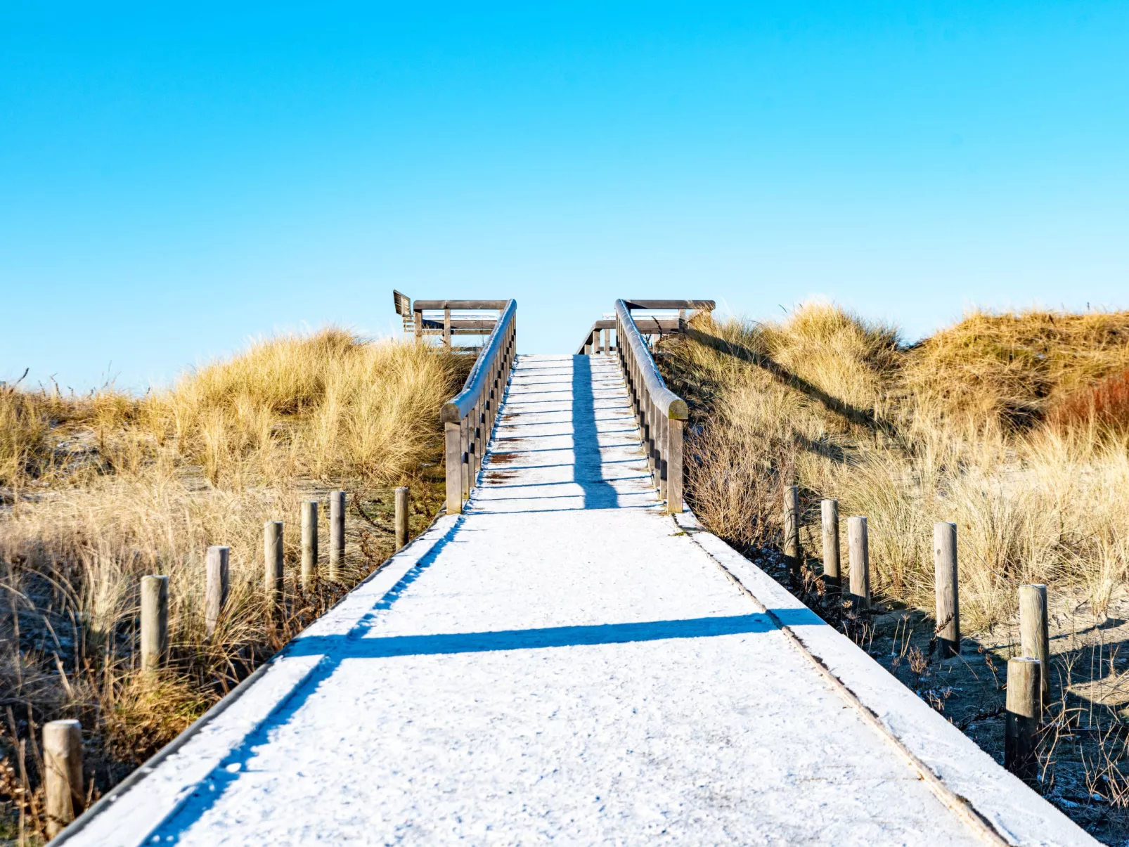 Witthuus-Borkum-Omgeving