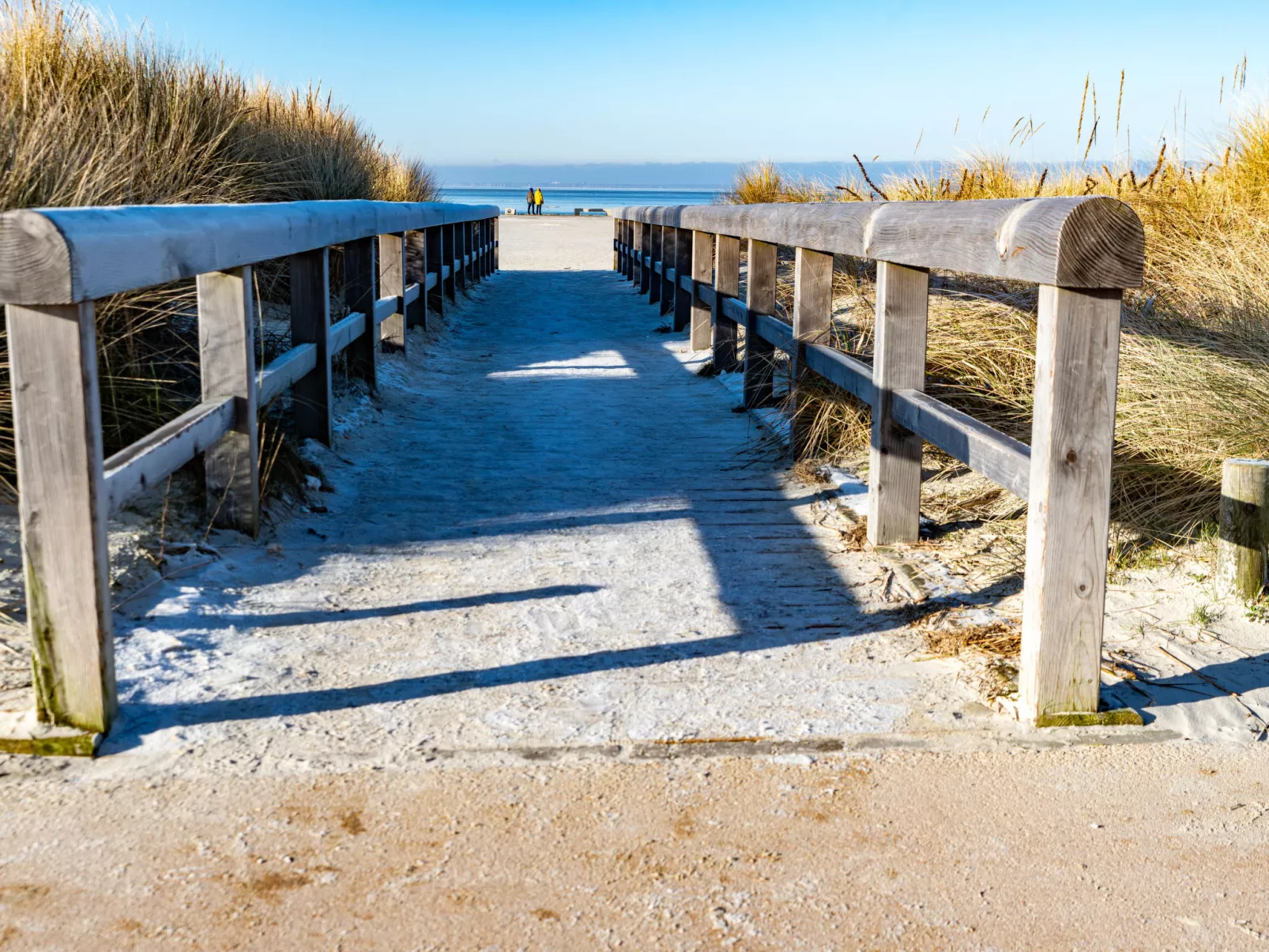 Muschelweg-Omgeving