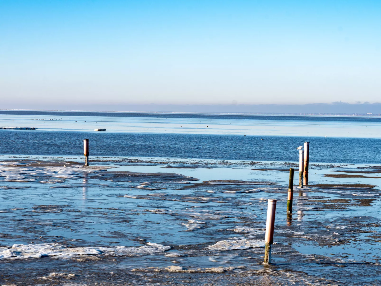 Muschelweg-Omgeving