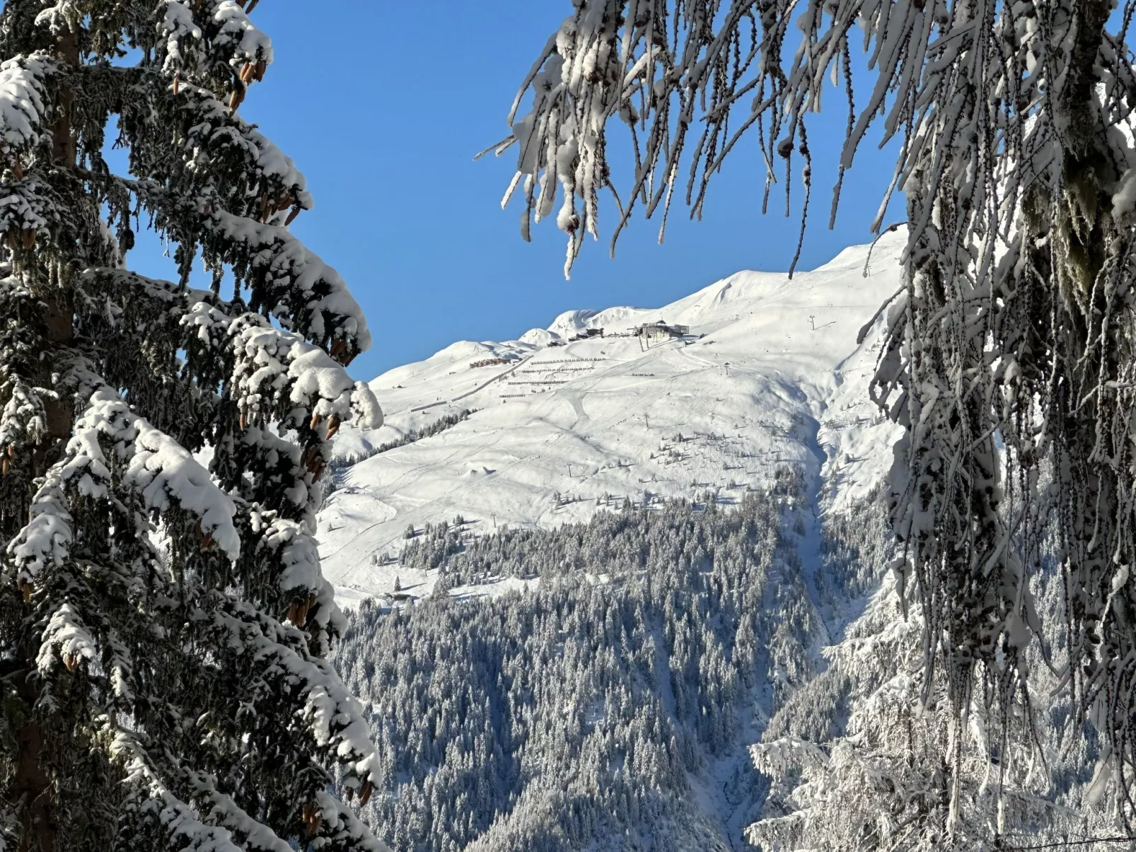 Chalet Soldanella (BEL205)-Buiten