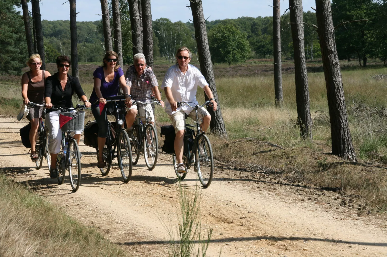 De Kempense Hoeve-Gebieden zomer 5km