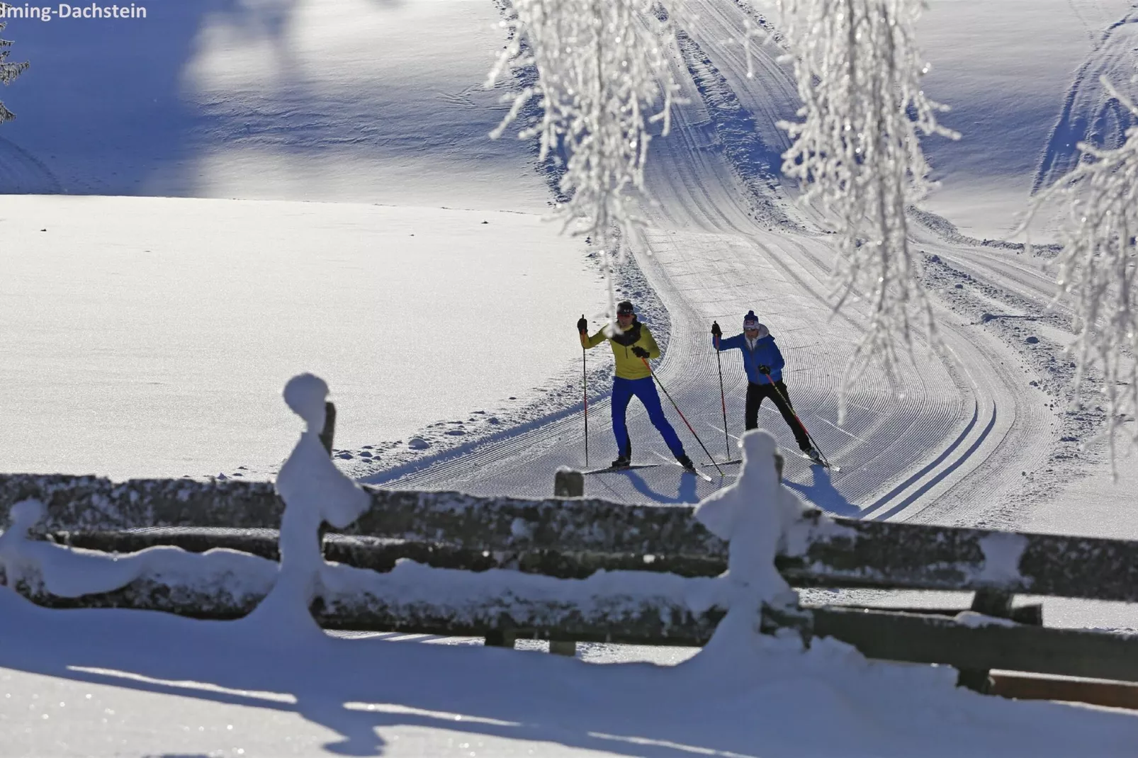 Bergresort Hauser Kaibling 9-Gebied winter 1km