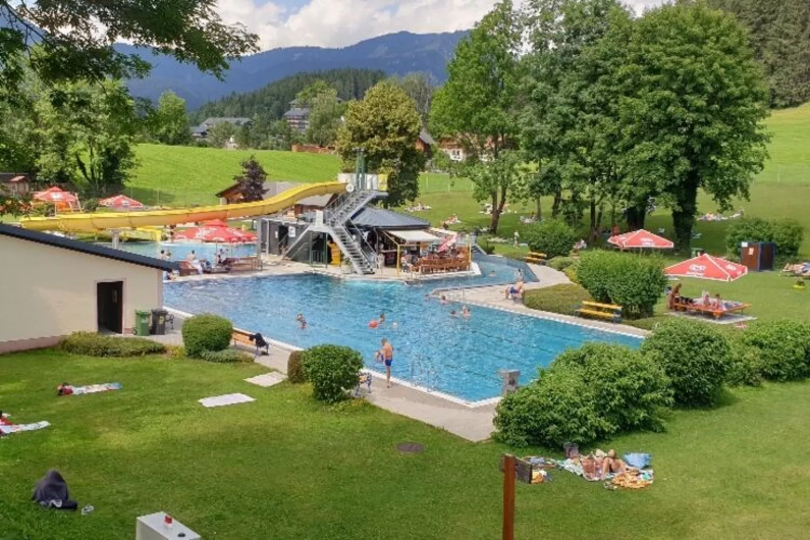 Alpenroos-Gebieden zomer 1km