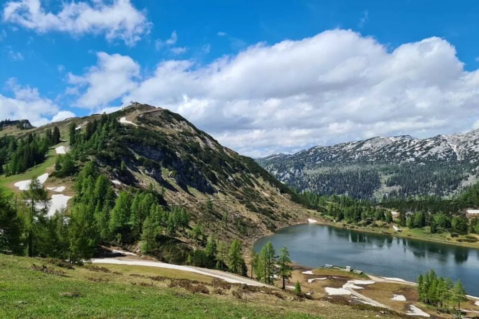 Alpenroos-Gebieden zomer 5km