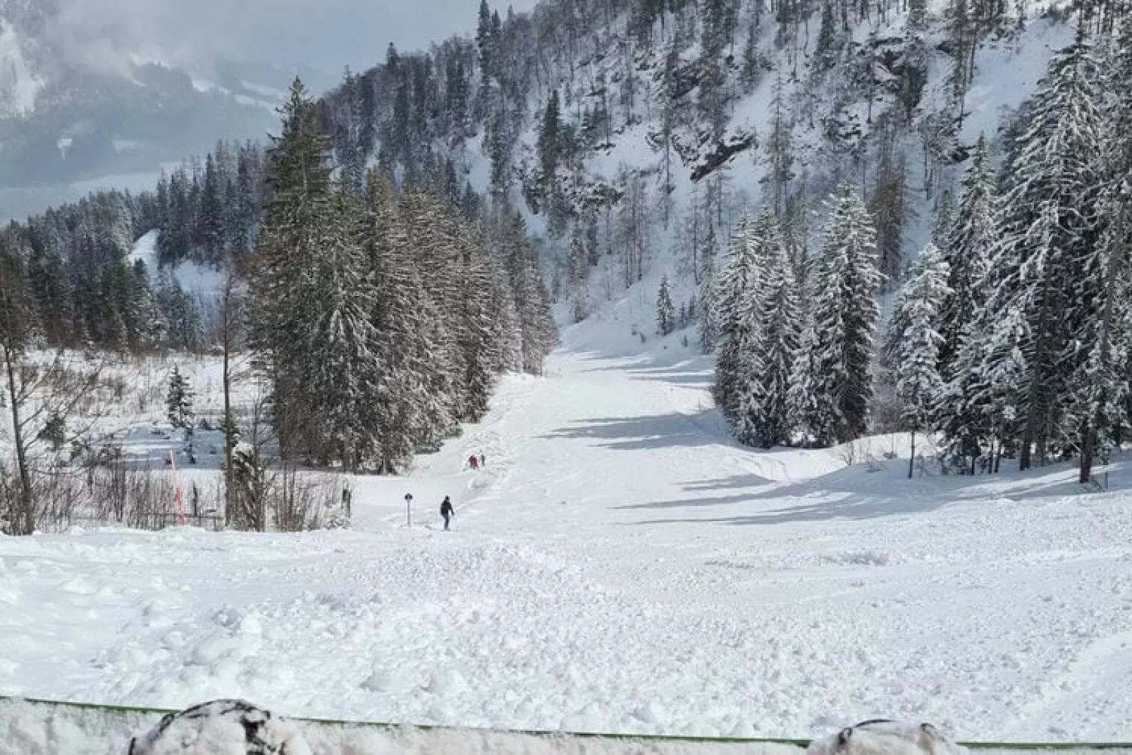 Alpenroos-Gebied winter 5km