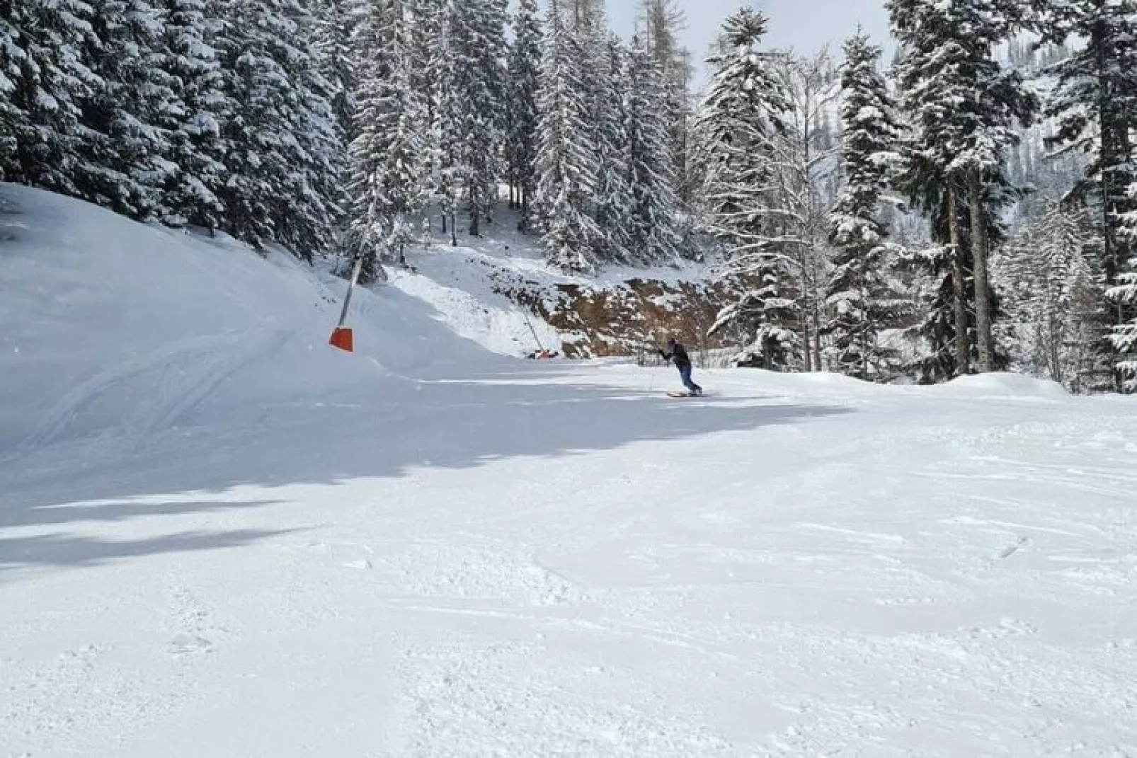 Alpenroos-Gebied winter 5km