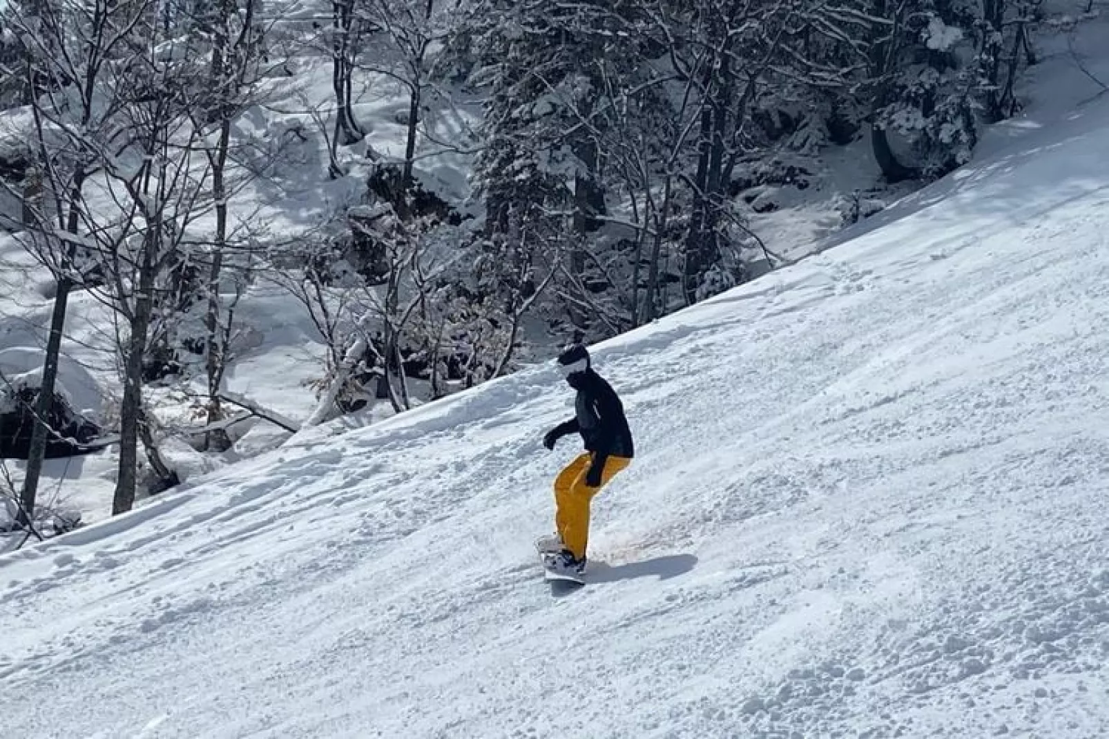 Alpenroos-Gebied winter 5km