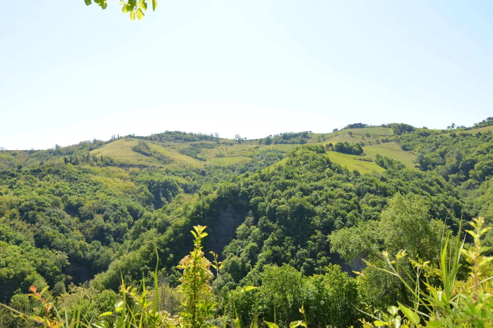 Il Gelso-Gebieden zomer 1km