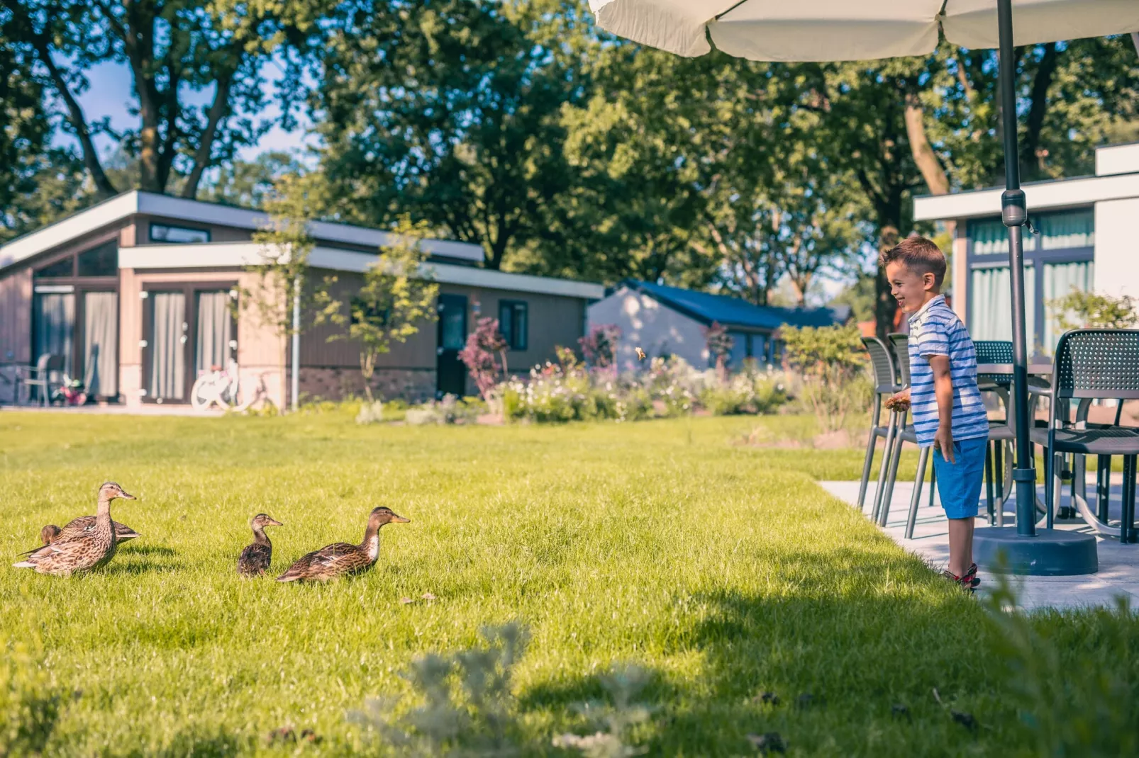 Resort Kaatsheuvel 13-Gebieden zomer 1km