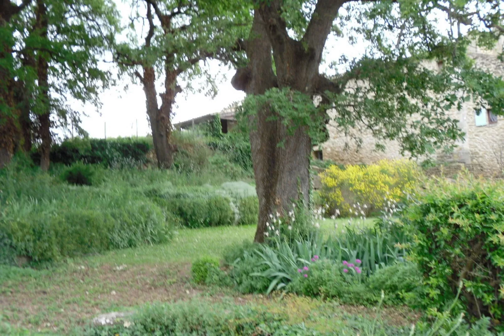 Le Gîte-Tuinen zomer