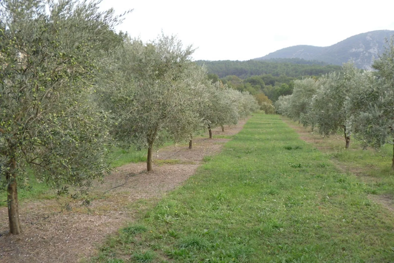 Le Gîte-Gebieden zomer 1km