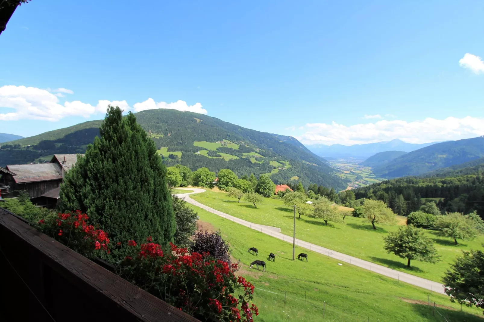 Apartment Verditz 3-Uitzicht zomer