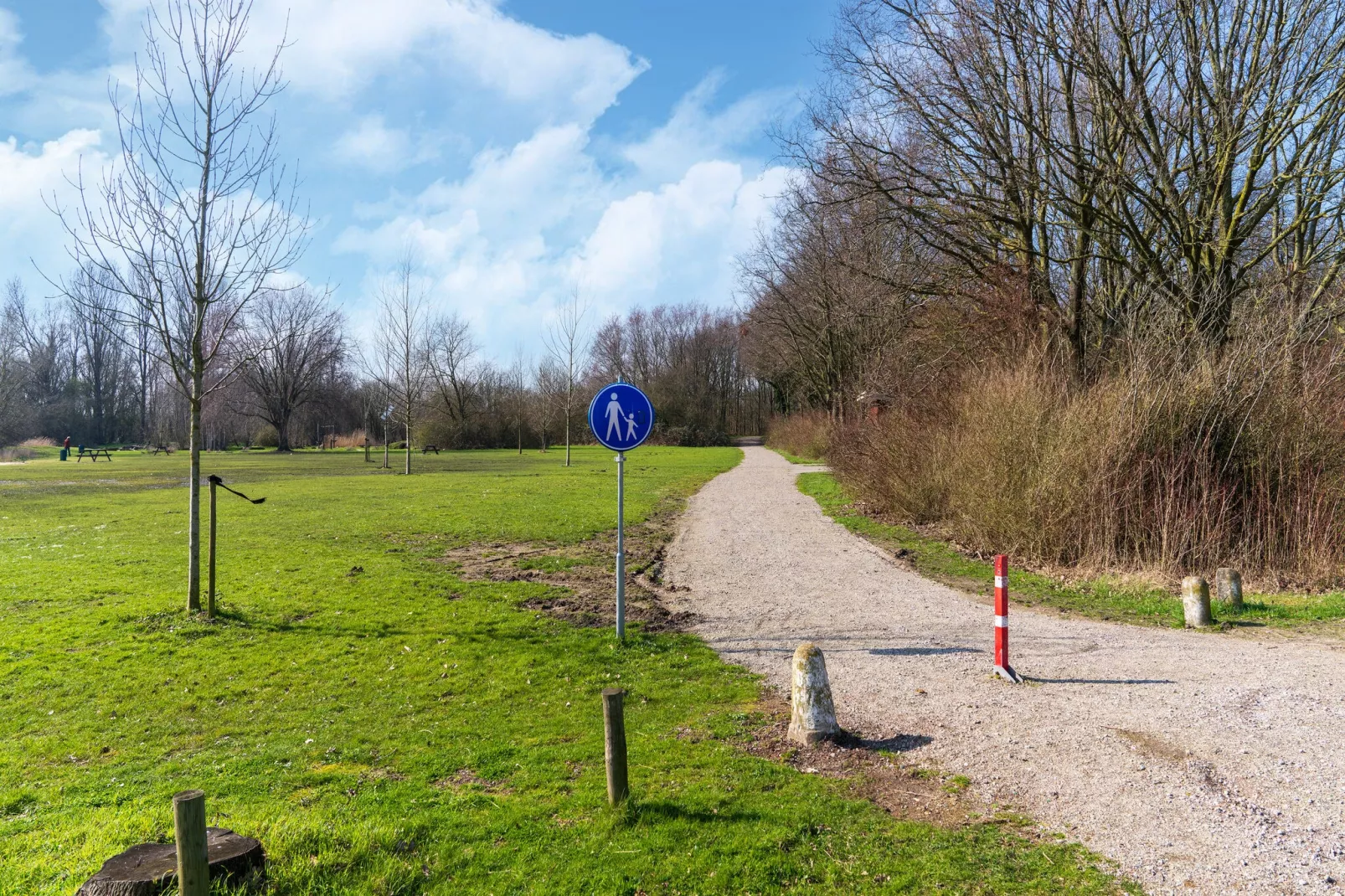 Kuifduiker 124-Gebieden zomer 5km