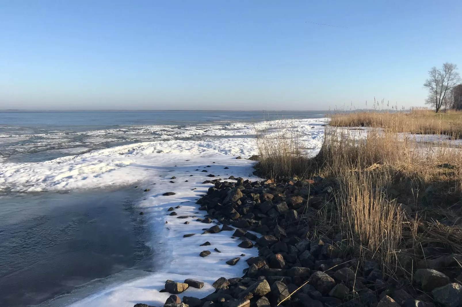 Ferienwohnung an der Ostsee in Pruchten naehe Zingst-Gebied winter 5km