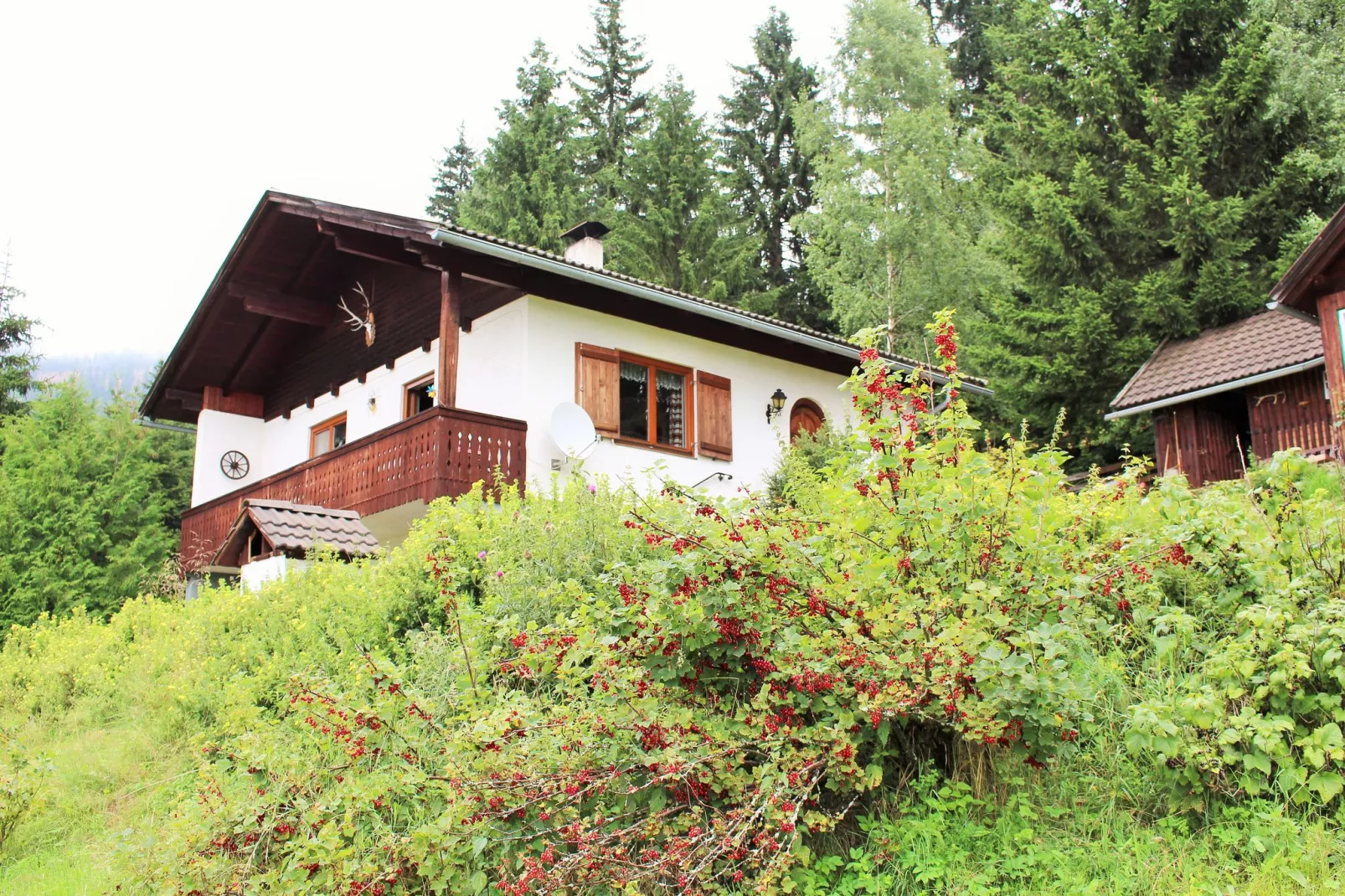 Almhaus Platzer-Buitenkant zomer