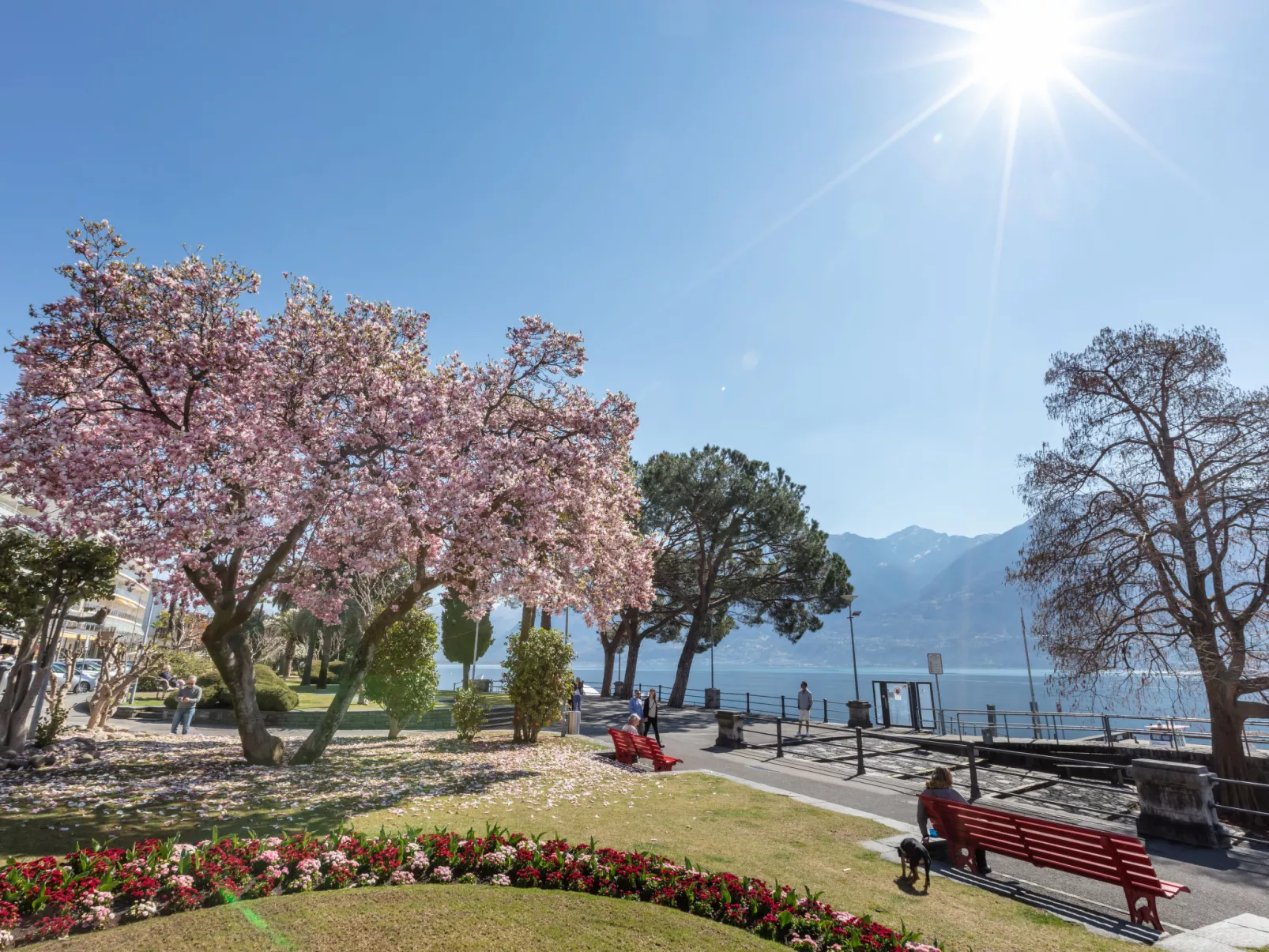 Attic Ascona-Omgeving