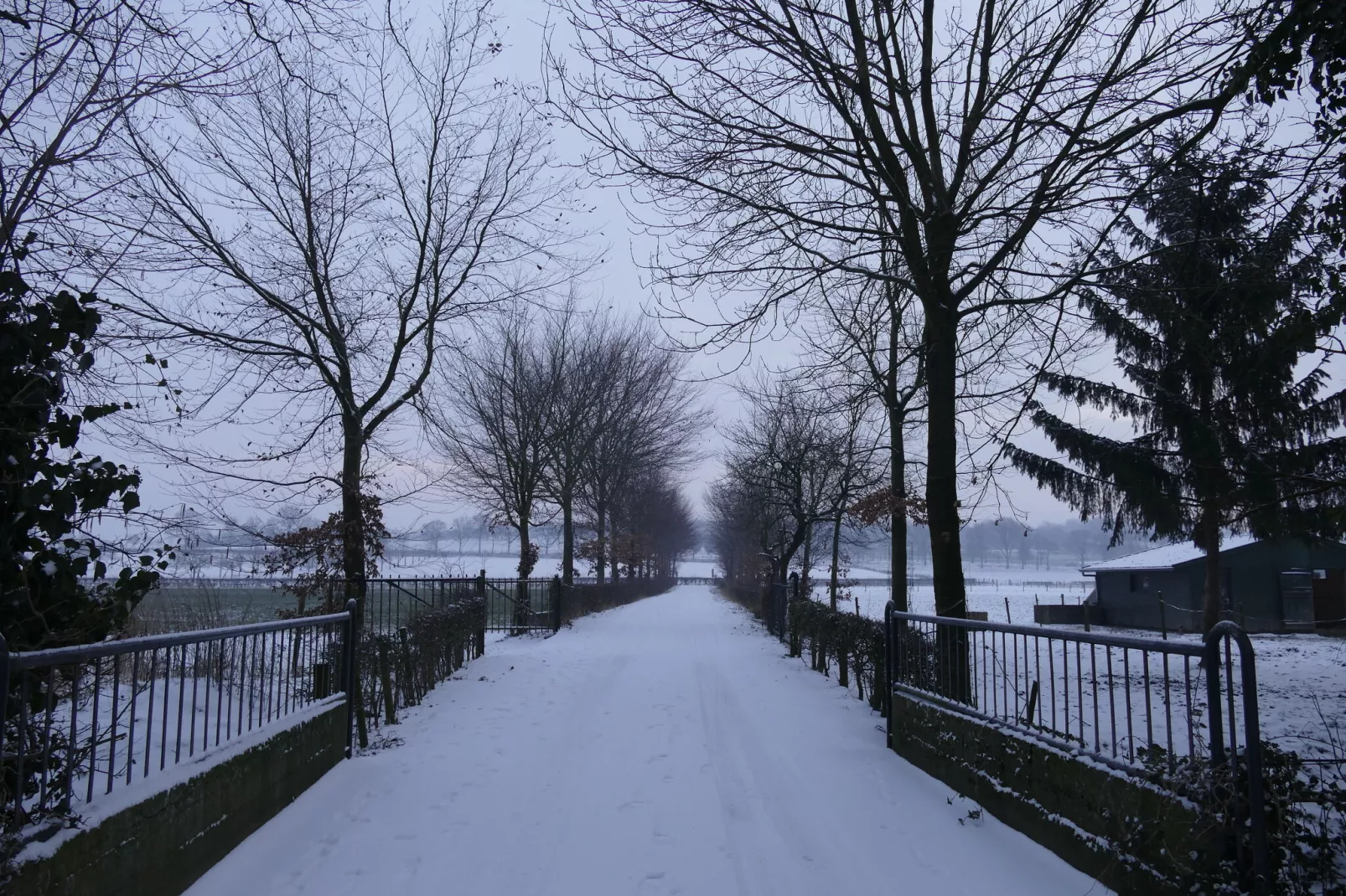 Meschermolen 12-Gebied winter 1km