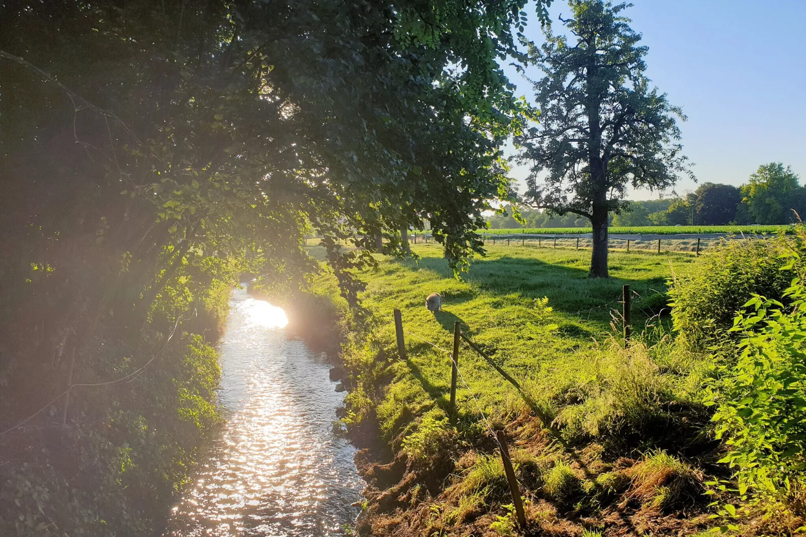 Meschermolen 12-Gebieden zomer 5km