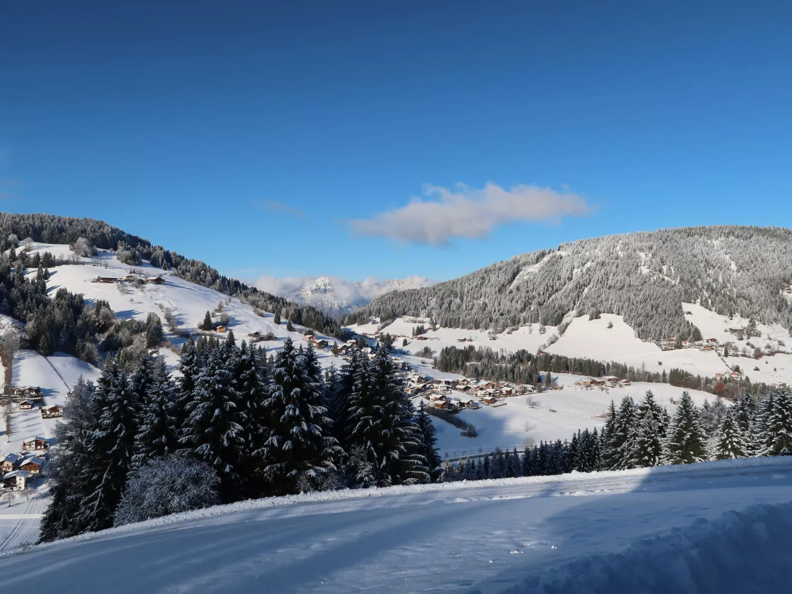 Chalet Edelweiß-Buiten