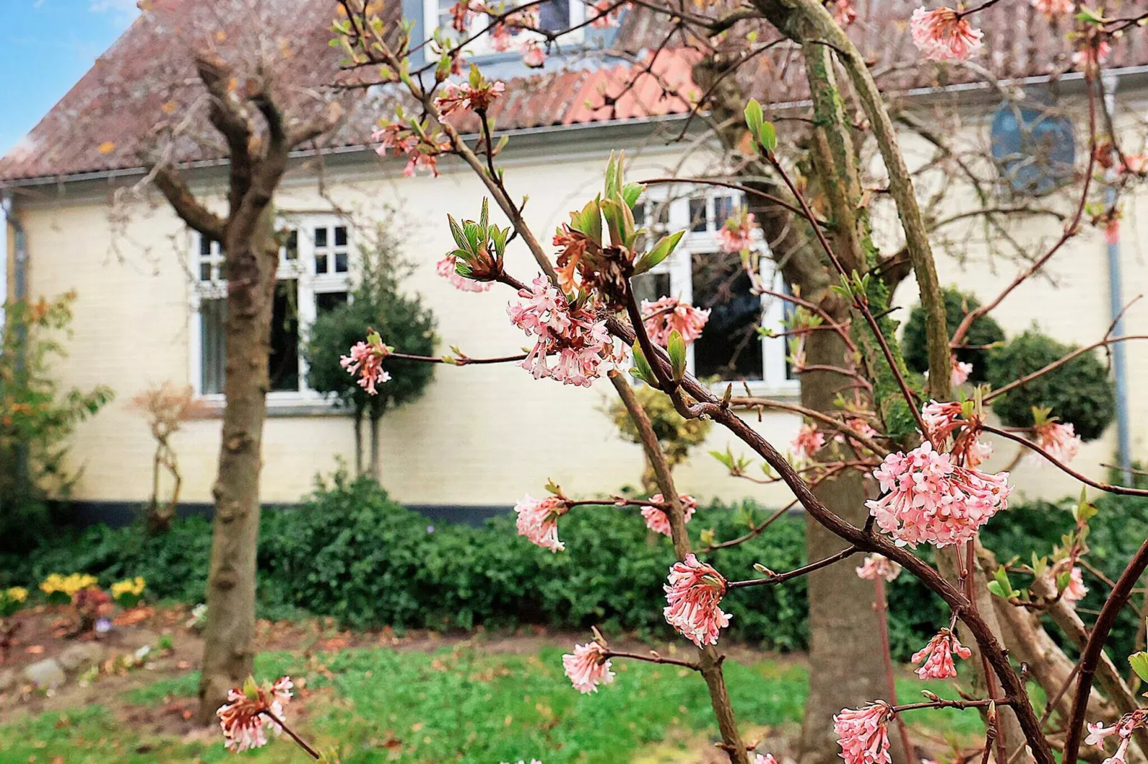 6 persoons vakantie huis in Søby Ærø-Uitzicht