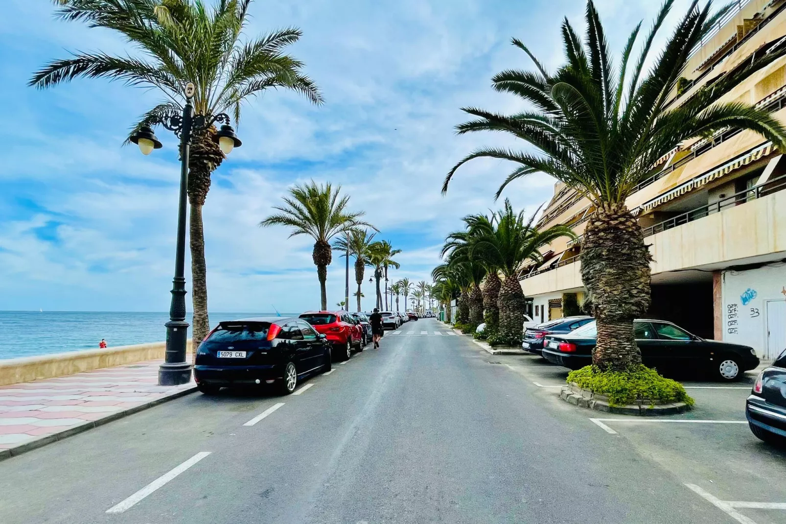 El Balandro-Gebieden zomer 1km