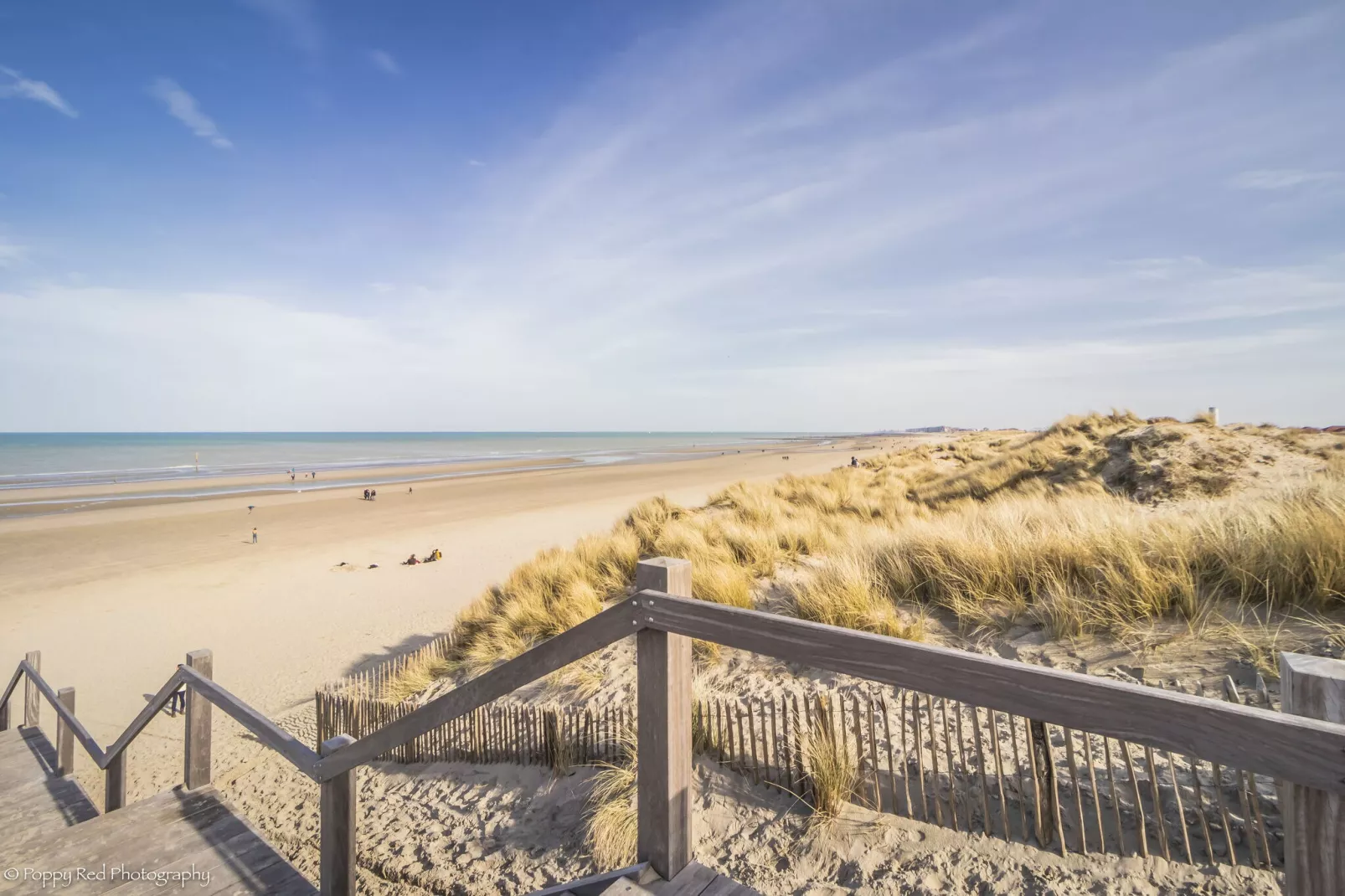 PANORAMA C2-Gebieden zomer 5km