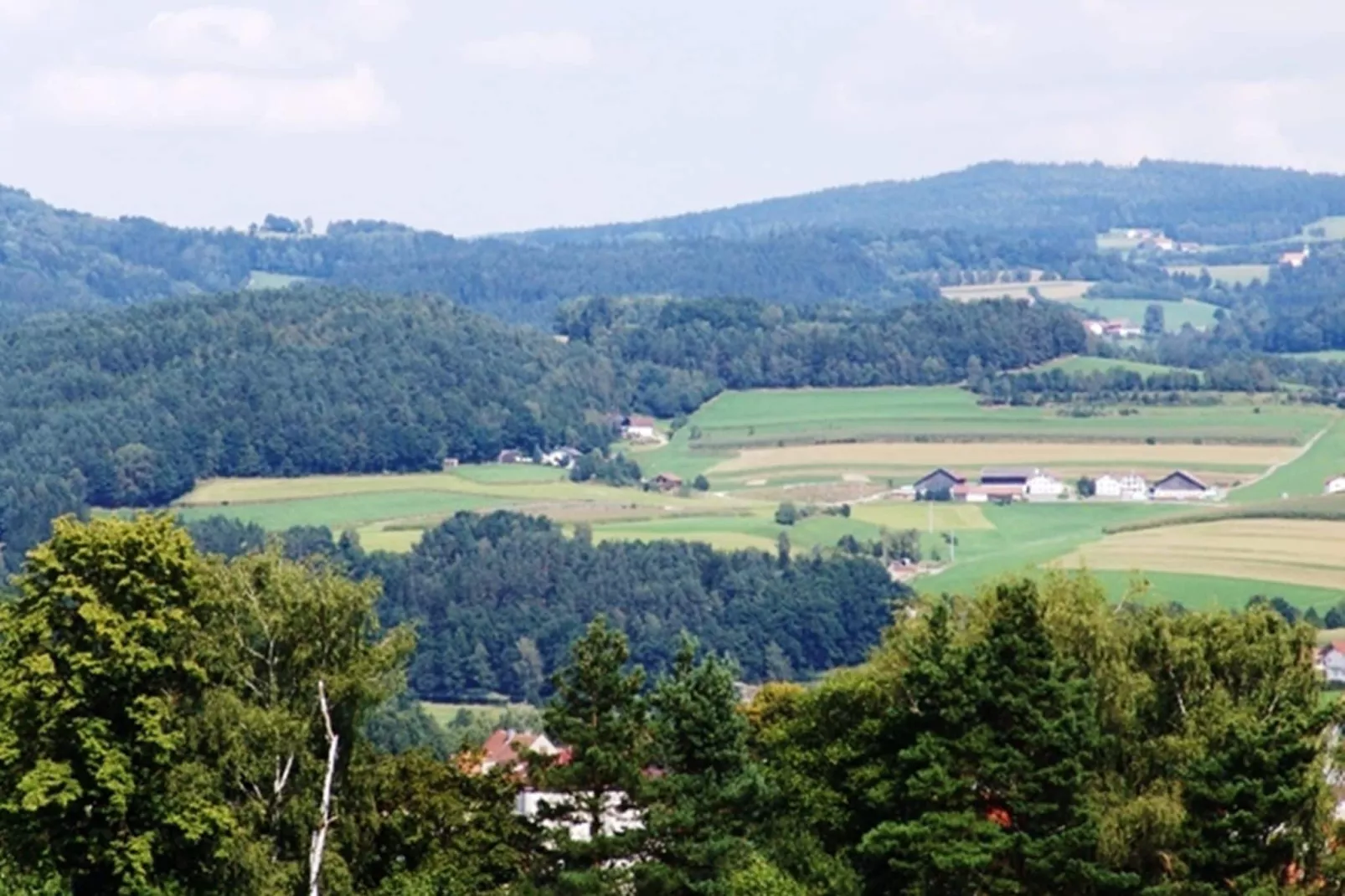 Uniek vakantiehuis in Viechtach met sauna-Gebieden zomer 1km