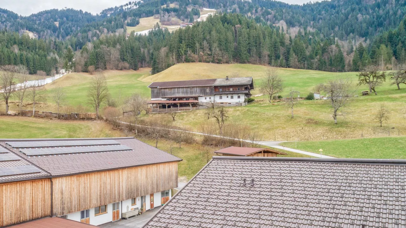 Kraftplatz am Litzlhof-Buitenkant zomer