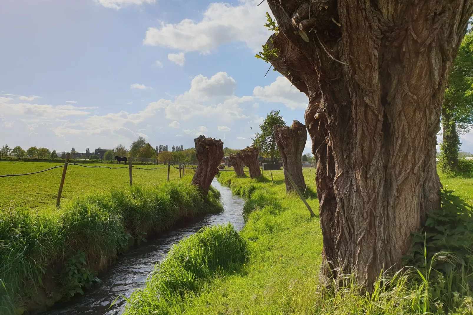 Meschermolen 9-Gebieden zomer 1km