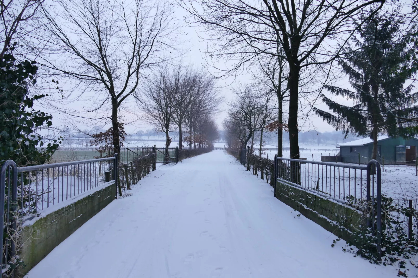 Meschermolen 9-Gebied winter 1km