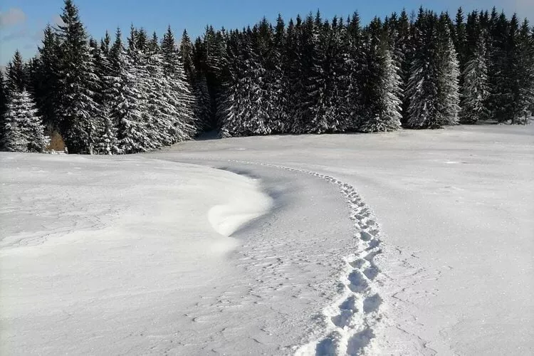 Graslerhütte-Niet-getagd