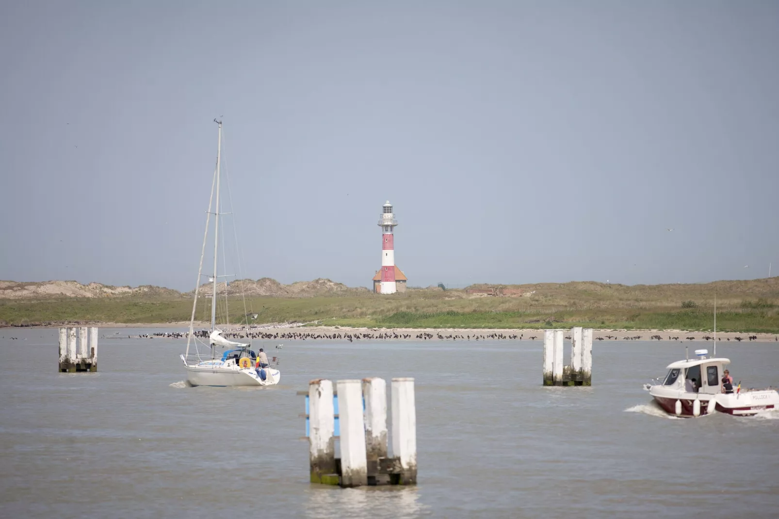 SEASIGHT A 1 / 0001-Gebieden zomer 1km