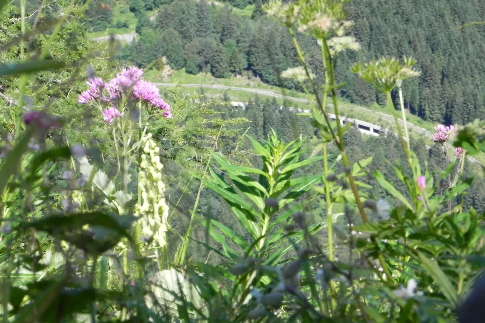 Apartment Tröpolach OG-Gebieden zomer 5km