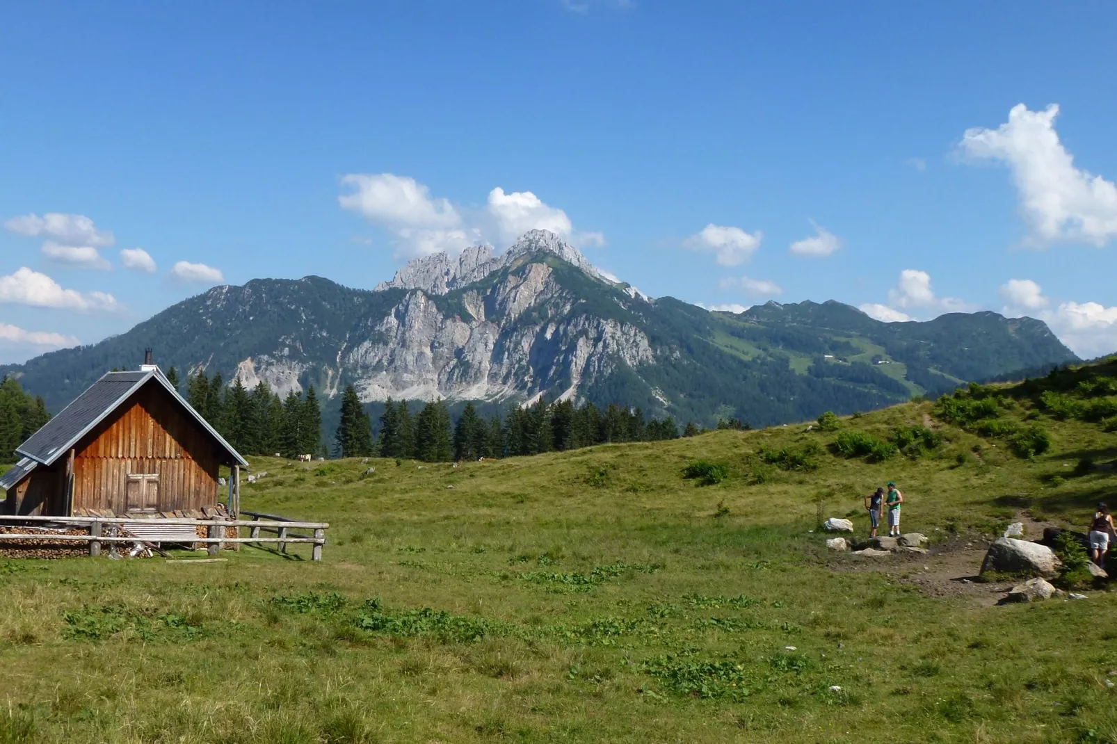 Apartment Tröpolach OG-Gebieden zomer 20km