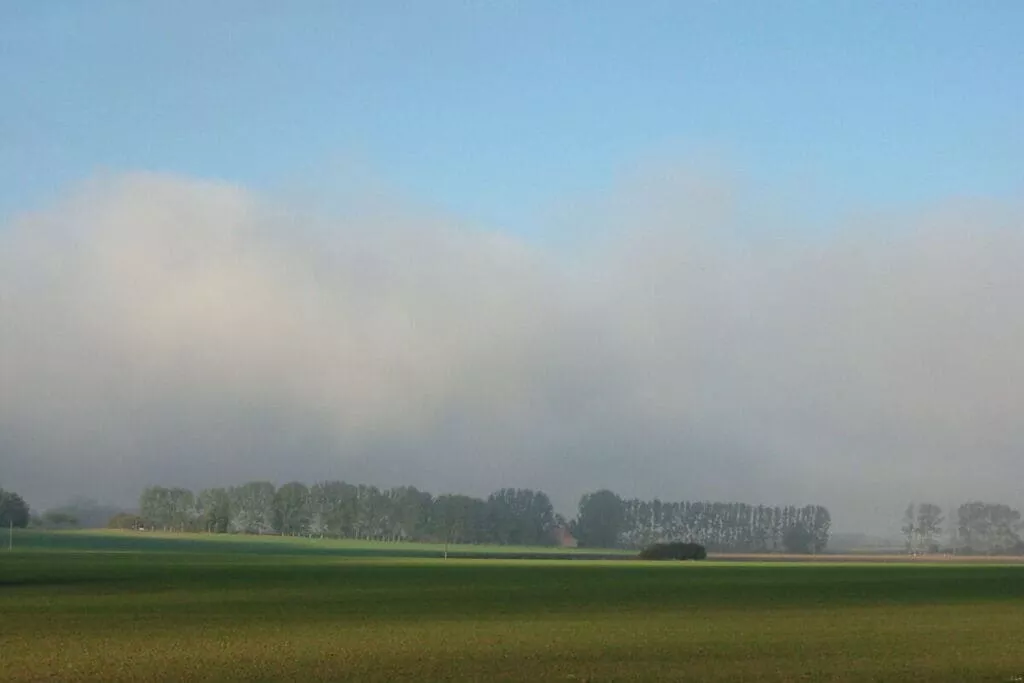 11227-Gebieden zomer 5km