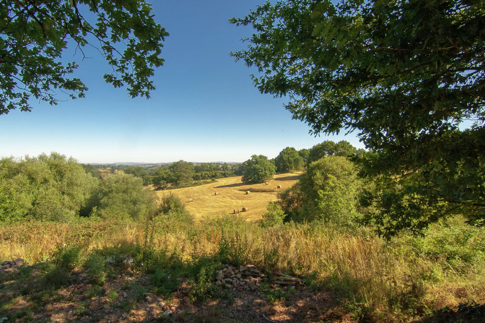 Le Manoir-Gebieden zomer 1km