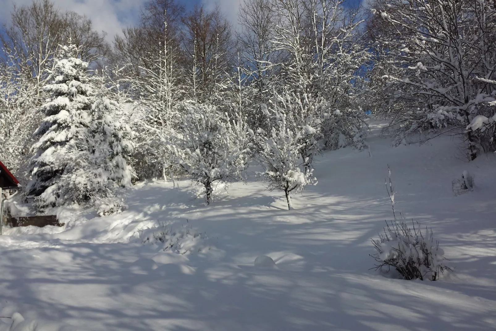 Huis Javornik-Tuin winter