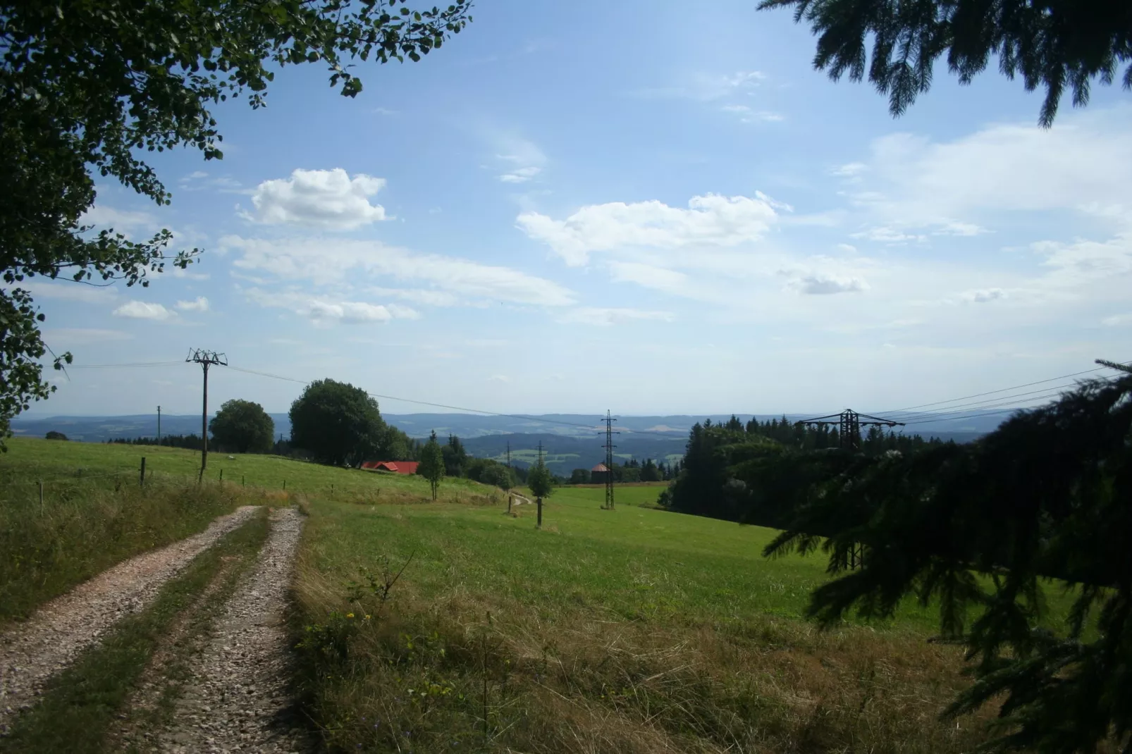 Huis Javornik-Gebieden zomer 1km