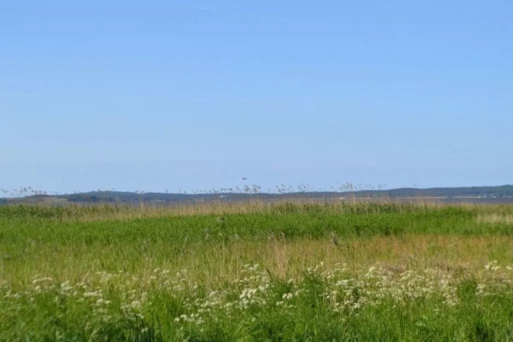 56969-Gebieden zomer 5km