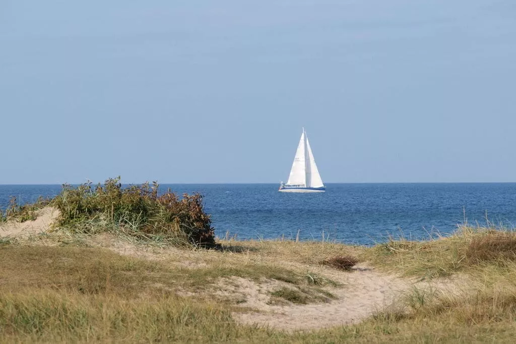 86502-Gebieden zomer 5km