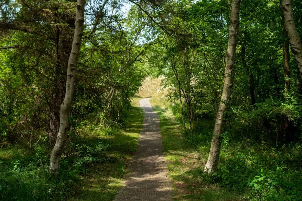 377693-Gebieden zomer 5km