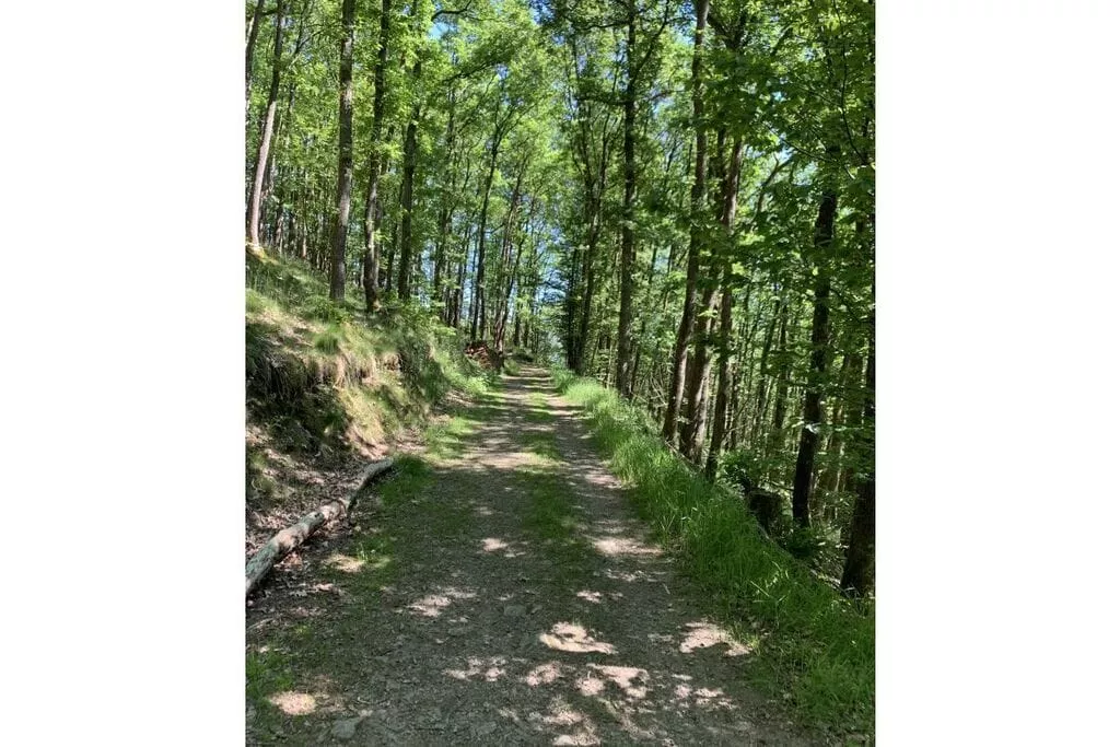 297577-Gebieden zomer 5km