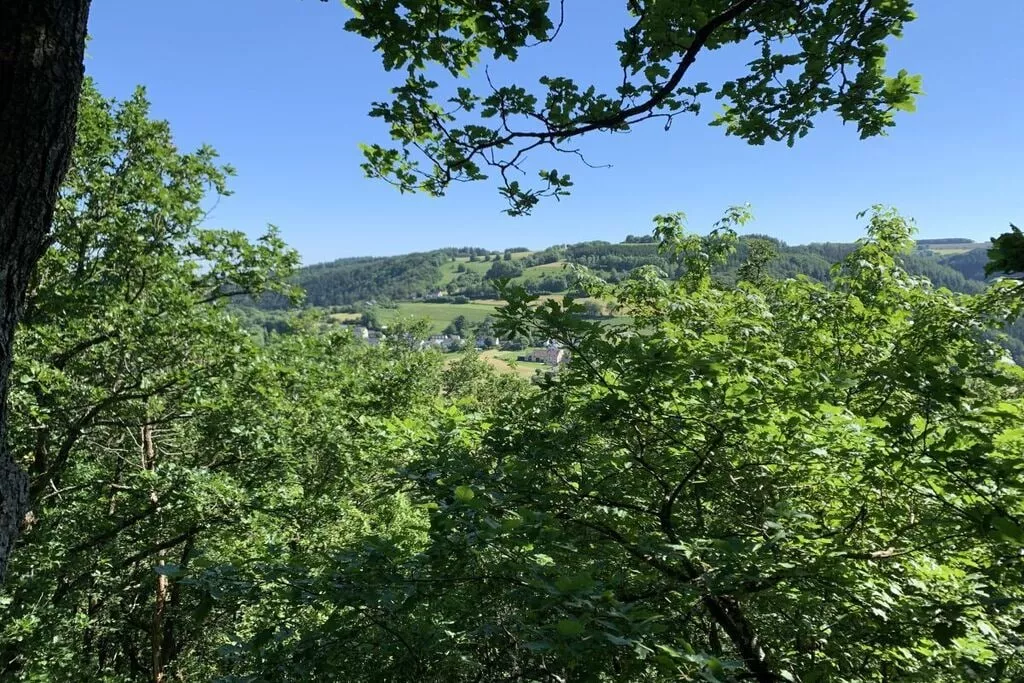 297577-Gebieden zomer 5km