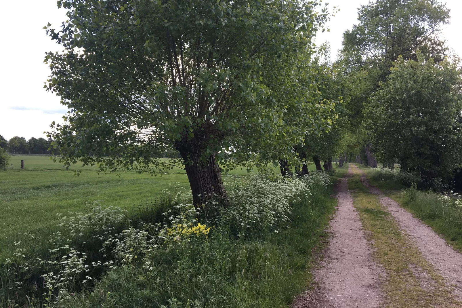 Bij Jans en Frans-Gebieden zomer 1km